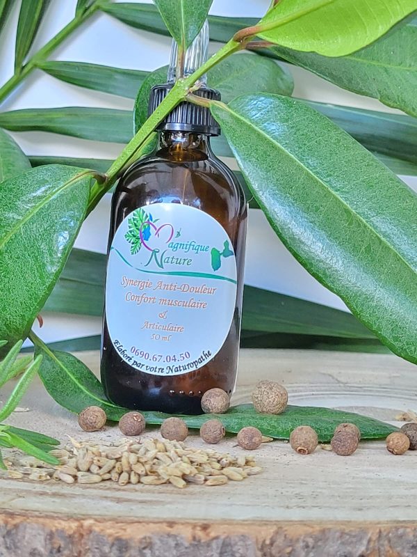 Synergie Bèl Favè Anti-douleur confort musculaire et Articulaire – Image 3