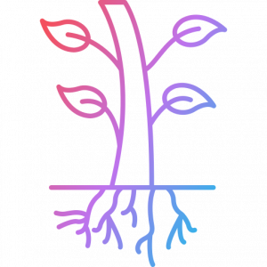 Icône plantes médicinale