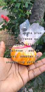 Avis cliente shampooing naturel Marita